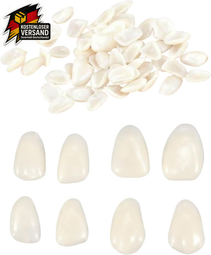 Falsche zähne veneers - set, 50
